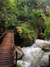 #bridge #aesthetic #instagram #instagood #nature #water