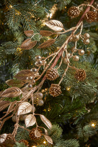 
Add a touch of nature to your seasonal décor with our berry and pinecone garland.

Beautiful golden hues shimmer wonderfully under the lights on your tree, or subtlety sparkle wrapped around your banister, giving an elegant feel to your home.