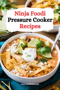 15+ Delicious Ninja Foodi Pressure Cooker Recipes to Try Now! – ChefsBliss