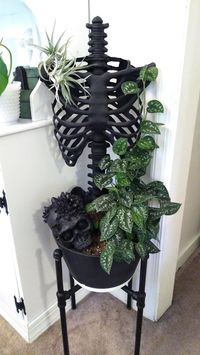 Reddit - PlantGoths - I posted in a house plant sub and this one was recommended to me. Hi.