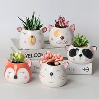 Add a touch of nature to your home with L'Expression Succulent and Cactus Planters Collection! Whether you’re looking to liven up your living space, create a calming vibe, or add an easy-care decor piece, our unique planters offer the perfect solution.

Succulents and cacti not only purify the air but also bring a refreshing, modern feel to any room. They’re perfect for brightening up your desk, shelves, or windowsill—without the hassle of constant care.