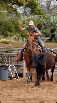 “Don’t tell people your plans. Show them your results.”  Video by @barra_ranch | Featuring @island_cowgirl_  #cowgirl #cowgirlmagazine #breakawayroping #ranchlifestyle