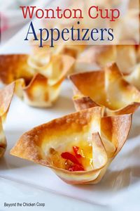 Crispy wonton cups filled with smoked Gouda and topped with spicy pepper jelly or fig jam. These delicious appetizers are great for the holidays or anytime of the year.