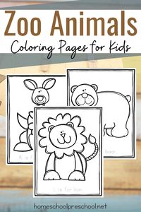 Zoo animal coloring pages can be used as a follow-up activity after your trip to the zoo or for a quiet time activity.