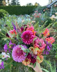 Micro Flower Farm - The Flowering Farmhouse