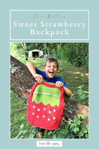 Love strawberries? This Sweet Strawberry Backpack is the cutest knitting project ever! Perfect for kids and adults alike, it combines fun and functionality with an adorable fruit-inspired design. Ideal for gifts or a playful addition to your own collection. Grab your needles and get started with this free knitting pattern today!