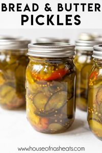 The BEST Bread & Butter Pickles - House of Nash Eats