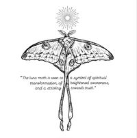 Luna Moth meaning