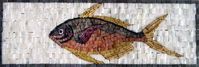 Fish Border Mosaic | Borders | Mozaico