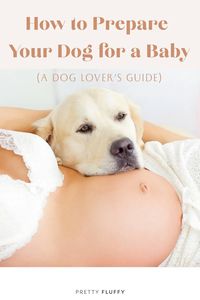 How to Prepare Your Dog for a Baby (a Dog Lover's Guide) | Pretty Fluffy