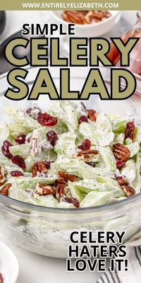 Celery haters LOVE this salad! A creamy dressing coats crunchy celery, sweet cranberries and toasted pecans in this simple salad. It's perfect for using up celery and making ahead.