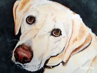 Custom dog portrait on etsy