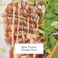 Teriyaki Tuna - A Delicious Sesame Crusted Ahi Tuna Recipe - This Teriyaki Tuna recipe brings a delicious and healthy meal to the table in just over 20 minutes! As a quick and easy meal this sesame crusted tuna can be made any day of the week! Your whole family will enjoy this tasty dish with crunchy contrast! #teriyakituna