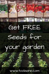 Get free seeds for your garden #gardening #free #seeds #plant