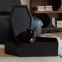 Discover the epitome of luxury for your feline companion with our Gothic Coffin Cat Bed - where opulence meets comfort in the most stylish of settings. Elevate your cat's lifestyle with the ultimate in sophistication - order our Gothic Coffin Cat Bed now and let them bask in the lap of luxury. Happy & Polly | Happy & Polly Halloween Cat Bed w / Replacement Coffin Mats, Gothic Pet Bed w / Removable Cushion | Large (12+lbs) | Wayfair