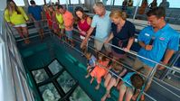 Key West Glass Bottom Boat Tours | Fury Water Adventures