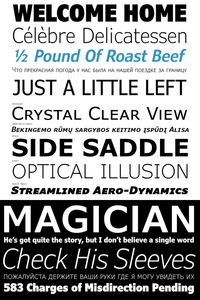 Verdana Pro Font Family