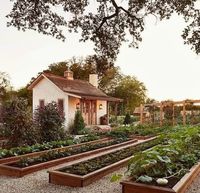 If you want to grow a vegetable garden and add beauty to your backyard at the same time, you’ll love these stunning vegetable garden ideas. On this pin, you'll find vegetable garden ideas for raised beds, urban small backyards, unique garden beds like metal and vertical gardening. #gardening #gardeningtips #vegetablegardening #vegetablegarden