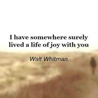 Walt Whitman - To a stranger