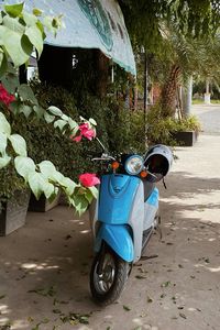 cambodia, battambang, south east asia, thailand, vietnam, indonesia, bali, travel, holiday, asia aesthetic, vacation, moped, scooter, honda, summer, summer aesthetic, drive