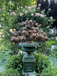 The Tanners' Eye-Candy Containers - Harmony in the Garden