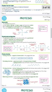 Get FREE downloads from my website! AQA, OCR A or Edexcel A. #alevelbiology #notes #notetaking #study #student #alevels #revision #biology #studygram #studying #tutor #aesthetic #onlinetutoring #biologynotes