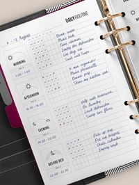 Daily Routine Planner Printable Flylady Morning Routine - Etsy Qatar