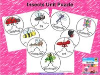 Puzzles. Increase vocabulary as the students play with the easy puzzles, ask them about the shape of the puzzle. Teacher: Look! What shape is it ? Students: a circle! As students finish their puzzle they name the insect. Students: It’s a ladybug!