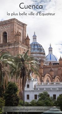 Cuenca, la plus belle ville d'Équateur, mérite que l'on s'attarde dans ses paisibles ruelles et que l'on prenne le temps d'humer le parfum de ses boulangeries. Mais son véritable trésor, c'est le parc national El Cajas sur la montagne la plus proche. Une claque visuelle, une expérience ! #cuenca #ecuador #blog #voyage #article #lascajas #elcajas