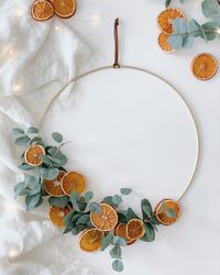 Lynn // mom + lifestyle on Instagram: “Made my first batch of dried orange slices yesterday and the house smelled delicious! I was planning on using them to make a garland with…”