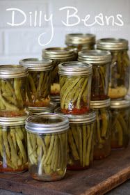 wildly simple: Dilly Beans [Pickled Green Beans]