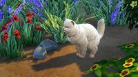 Mod The Sims - Nature's Kitty Litter