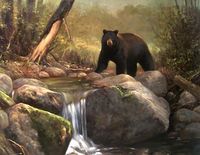 "Black Bear Creek" by Dave Merrill www.davemerrillart.com