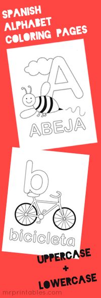 This would be very usefull when teaching Spanish I or younger children.It would help then learn the alphabet and new words.