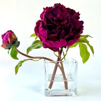 This gorgeous single stem real touch peony arrangement includes one luscious deep fuchsia pink peony flower and one peony bud. This vibrant peony adds the perfect pop of color to any room and is real touch! Add elegance to any room with this beautiful piece, perfect addition to a bedroom nightstand, office or bathroom decor. #peonyarrangement #homedecor #peonies #silkflowerarrangement #floralhomedecor #floraldecor #luxuryhomedecor