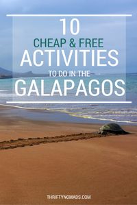 Galapagos is often viewed to be expensive, but the truth is, it can be done on the cheap. Here's how to cut costs and see the Galapagos Islands on a budget!