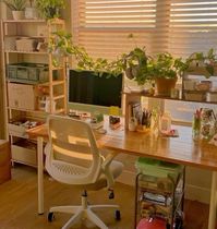 Desk aesthetic study cozy sage green light plants setup mac