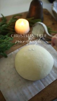 Christmas tree sourdough loaf 🎄 📸 creator: @drab.to.dreamy (via Instagram) PS ❤️ and 📬 share this post with a fellow sourdough loving friend! Follow @bestofhomesteading for tips, inspiration, and stories from the homesteading community. 🐓 🐄 @bestofhomesteading 🐄 @bestofhomesteading 🐄 @bestofhomesteading The copyright of this post doesn’t belong to @bestofhomesteading, nor do we intend to monetize this content. It is edited and shared for purpose of awareness, if the content OWNER (visual/audio) of this post has any issue, we request you to directly message this page, thus we sort out the outcome. #SustainableLiving #BackyardFarm #ModernHomesteading #UrbanHomesteading #FarmLife #SimpleLiving #Permaculture #GardenToTable #HomesteadLife #OffGridLiving #CountryLiving #HobbyFarm #RuralLi