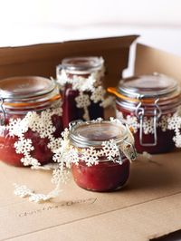 Christmas Chutney | Nigella's Recipes | Nigella Lawson