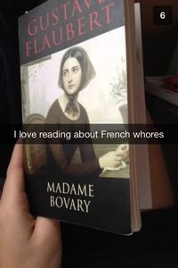 Madame Bovary... Ugh kill me now