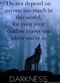 Beautiful Wolf Quote