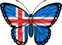 Icelandic Flag Butterfly