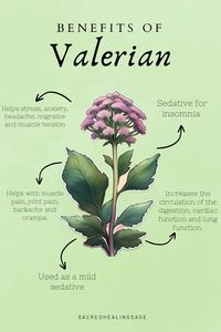 Discover the calming power of Valerian! 🌿✨ Explore the benefits, from sleep aid to stress relief. Dive into herbal wellness and embrace the soothing properties of this natural remedy. Elevate your health journey with Valerian. #ValerianBenefits #HerbalWellness #spirituality #herbs #health #medicine