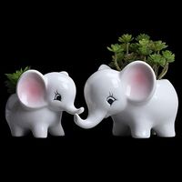 Amazon.com : Ogrmar 2PCS Elephant Plant Window Boxes Cute Elephant Flower Pot/Modern White Ceramic Succulent Planter Pots/Tiny Flower Plant Containers Animal Decor : Garden & Outdoor #planters