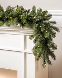 Balsam Hill | Vermont White Spruce by Vermont Signature