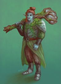 ArtStation - Firbolg Paladin