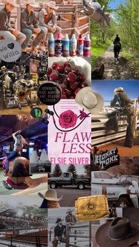 #bookaesthetics #flawless #cestinutspringsseries #rhettandsummer #bullriding