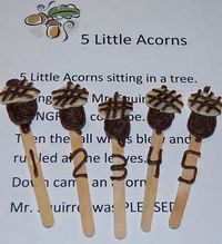 5 Little Acorns