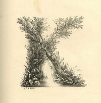 Letterology: A Mid-19th C Landscape Alphabet