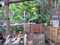 Indiana Jones Ride    Temple of the Forbidden Eye